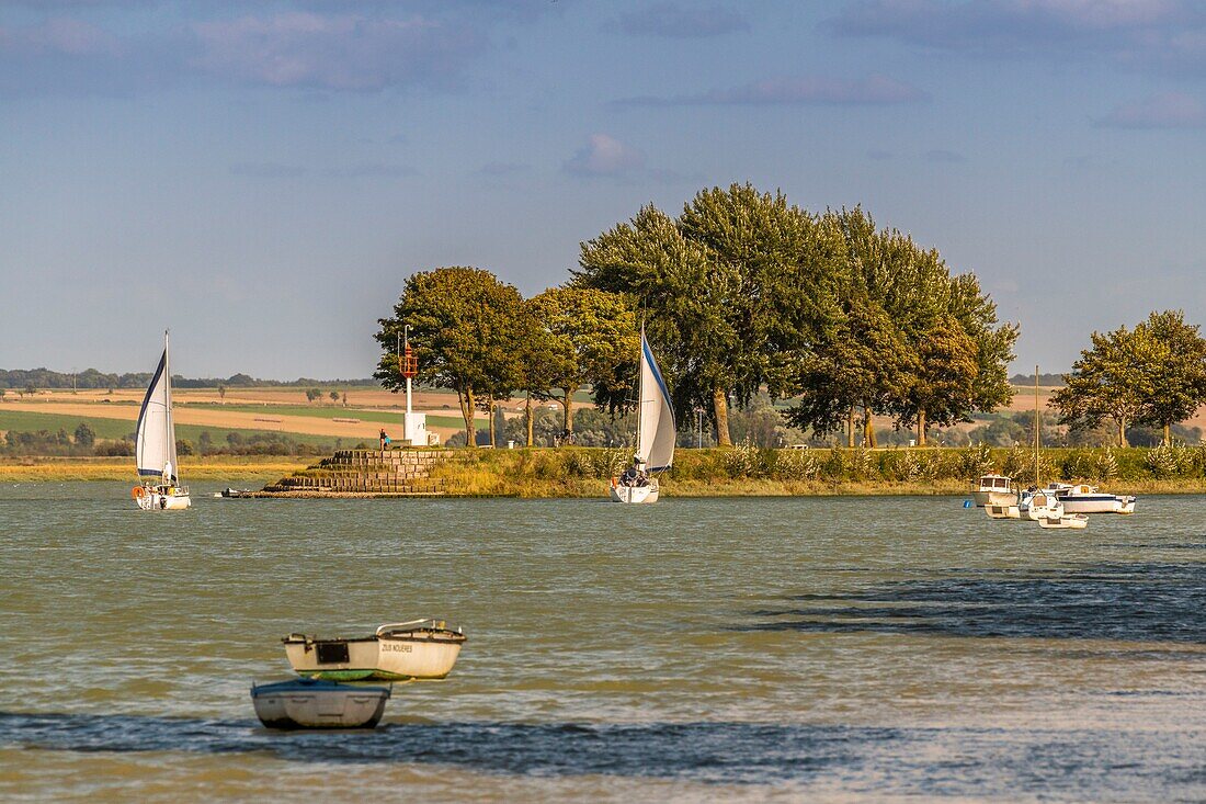 Frankreich, Somme, Somme-Bucht, Saint Valery sur Somme, Kap Hornu, Rückkehr der Segelboote in den Yachthafen von Saint Valery bei Flut