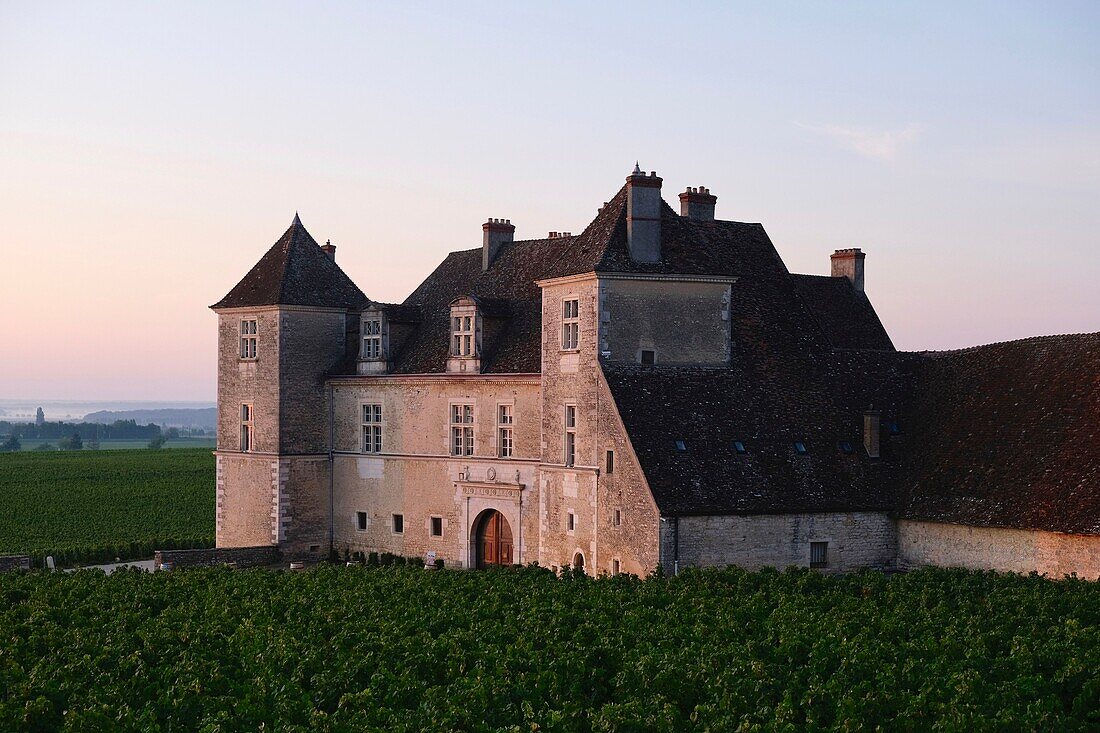 France, Cote d'Or, Vougeot, Burgundy climates listed as World Heritage by UNESCO, Cote de Nuits, the Chateau de Clos de Vougeot and the vines at sunrise\n