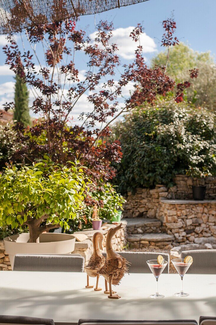 France, Hérault, Pic Saint -Loup, Story :  Indian summer in Cévennes countryside \n