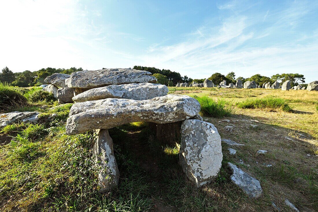 France, Morbihan, Carnac, row of megalithic standing stones at Kermario\n