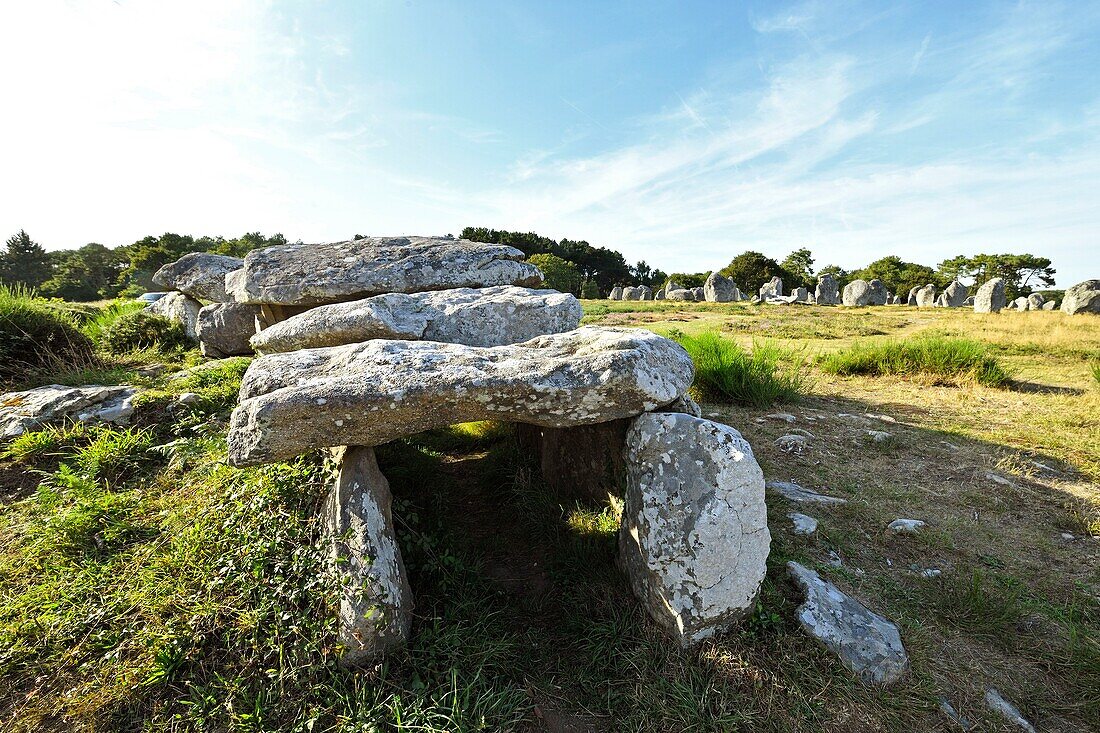 Frankreich, Morbihan, Carnac, Reihe von megalithischen Steinen bei Kermario