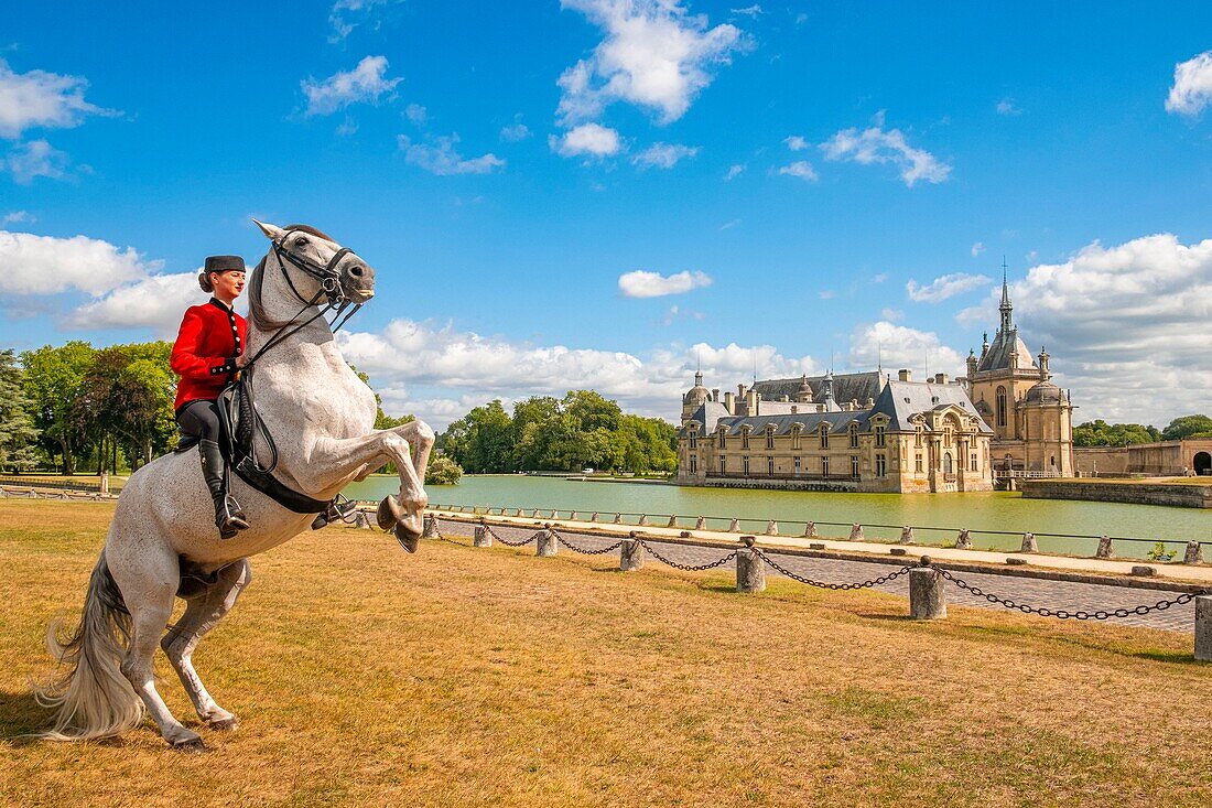 Frankreich, Oise, Chantilly, Chateau de Chantilly, die Grandes Ecuries (Große Ställe), Estelle, Reiterin der Grandes Ecuries, macht ihr Pferd vor dem Schloss zurecht