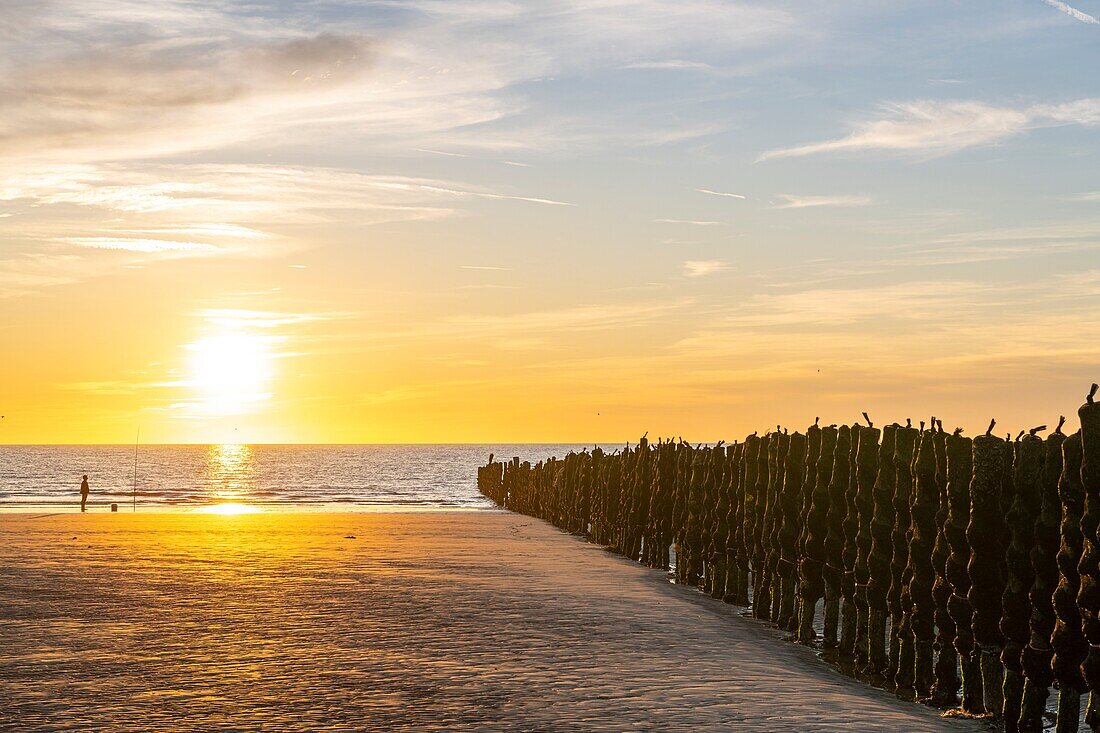 France, Somme, Marquenterre, Quend-Plage, Fishermen on the beach at sunset\n