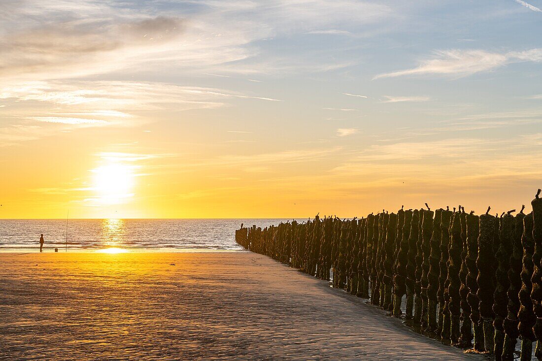 Frankreich, Somme, Marquenterre, Quend-Plage, Fischer am Strand bei Sonnenuntergang