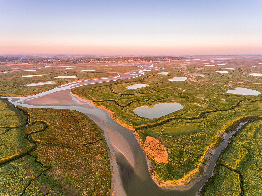 France, Somme, Bay of Somme, Noyelles-sur-mer, the salted meadows of the Bay of the Somme in the early morning with the channels and the pools of hunting huts, and Saint-Valery-sur-Somme in the background (aerial view)\n