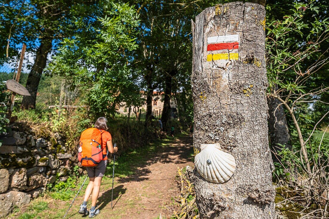 France, Haute-Loire, Monistrol d'Allier, hike on Via Podiensis, one of the French pilgrim routes to Santiago de Compostela or GR 65\n