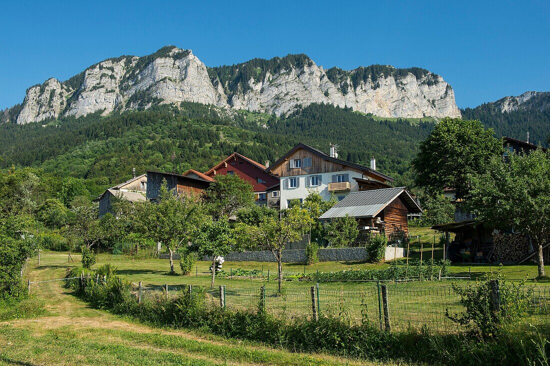 France, Haute Savoie, Chablais geopark massif, Thollon les Memises, the hamlet of Les Vesins and the cliffs of the Pic des Memises\n