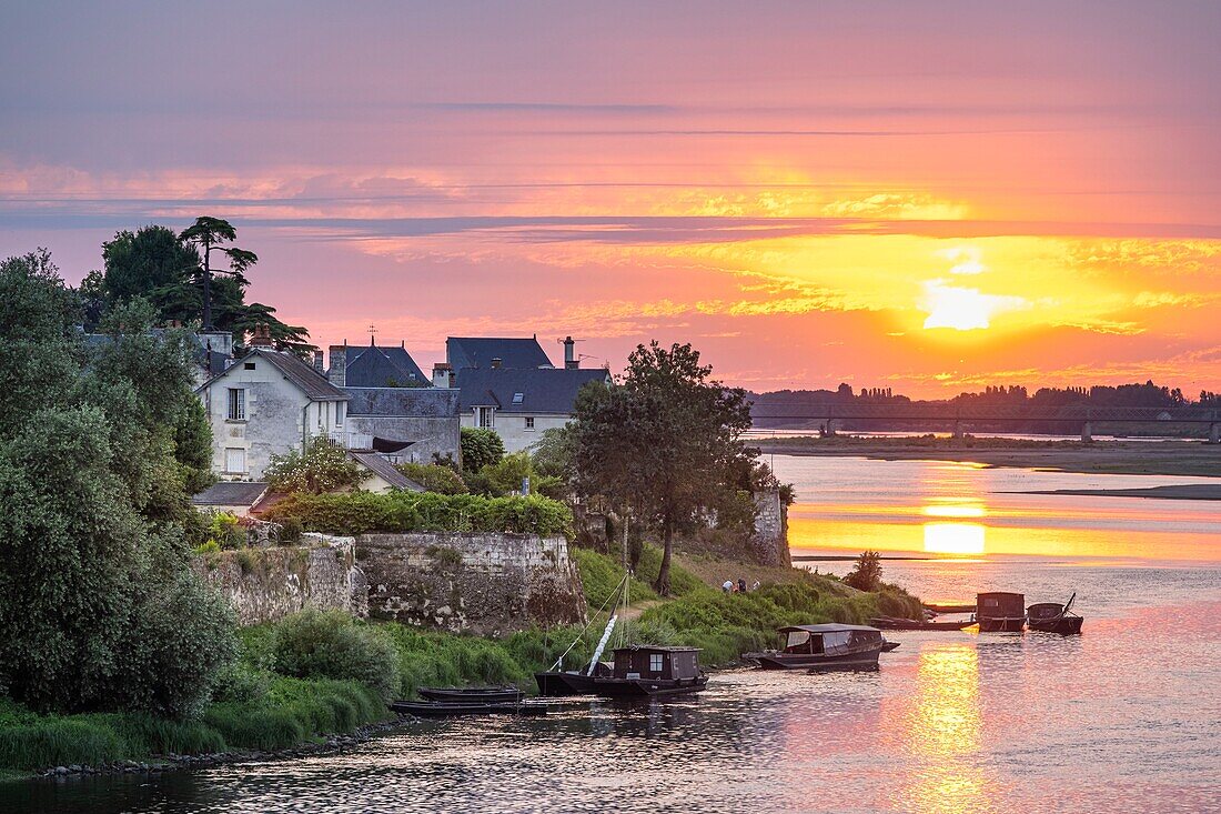 Frankreich, Indre et Loire, Loire-Tal, von der UNESCO zum Weltkulturerbe erklärt, Candes Saint Martin, mit dem Titel Les Plus Beaux Villages de France (Die schönsten Dörfer Frankreichs)