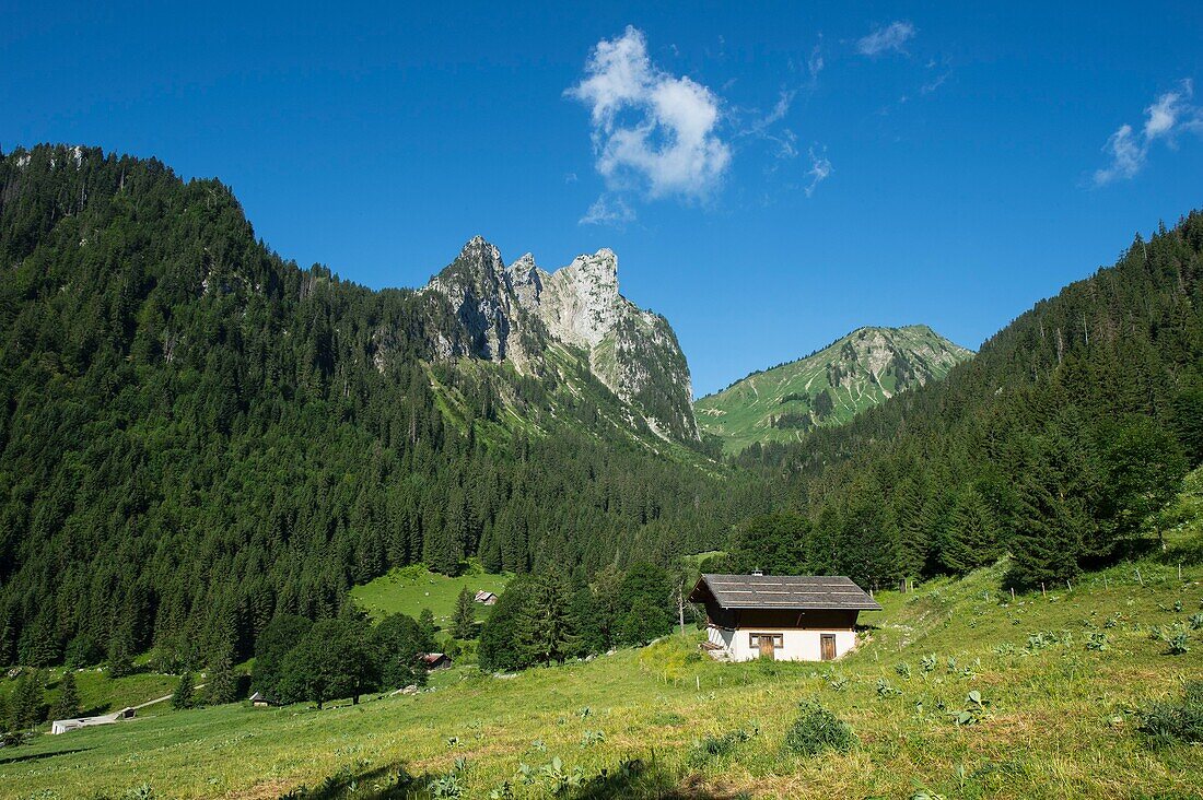 France, Haute Savoie, massif of Chablais, Val d'Abondance, Portes du Soleil, Chapel of Abondance, an alpine chalet in Chevenne and the little mountain Chauffe\n