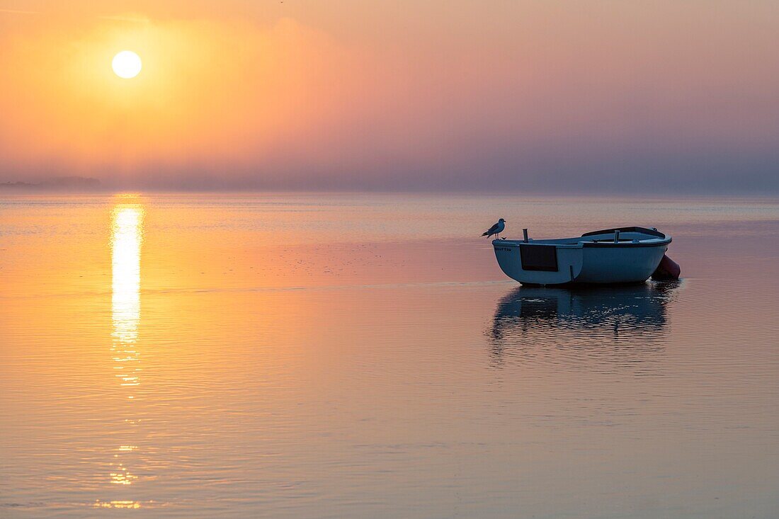 Frankreich, Somme, Somme-Bucht, Saint Valery sur Somme, Morgendämmerung am Ufer der Somme, wo die Boote von Jägern und Fischern gestrandet sind