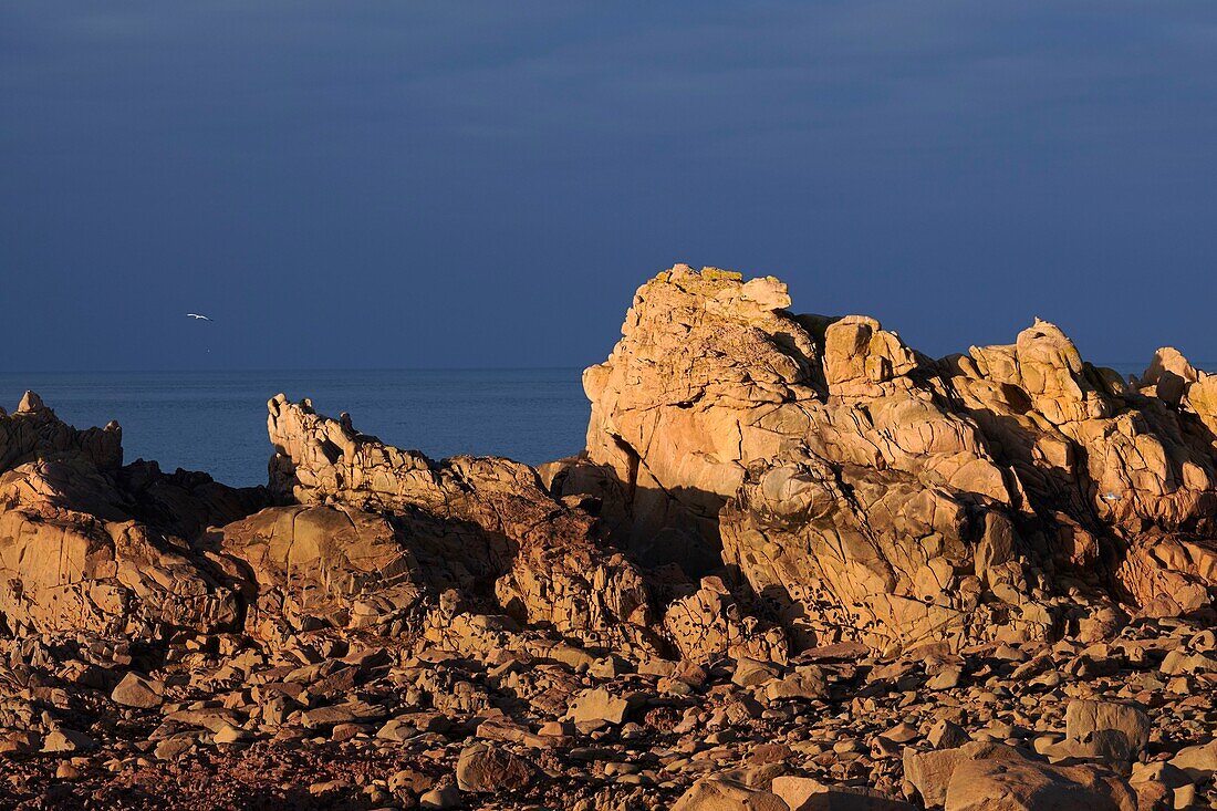 Frankreich, Cotes d'Armor, Insel Brehat, Pointe du Paon im nördlichen Teil der Insel, Felsen aus rosa Granit