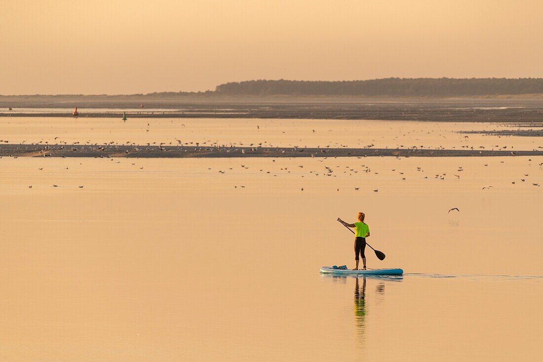 France, Somme, Somme Bay, Saint Valery sur Somme, Cape Hornu, Paddle in the channel of the Somme\n