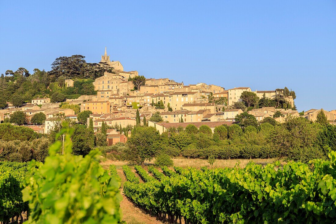 Frankreich, Vaucluse, regionales Naturschutzgebiet Luberon, Bonnieux