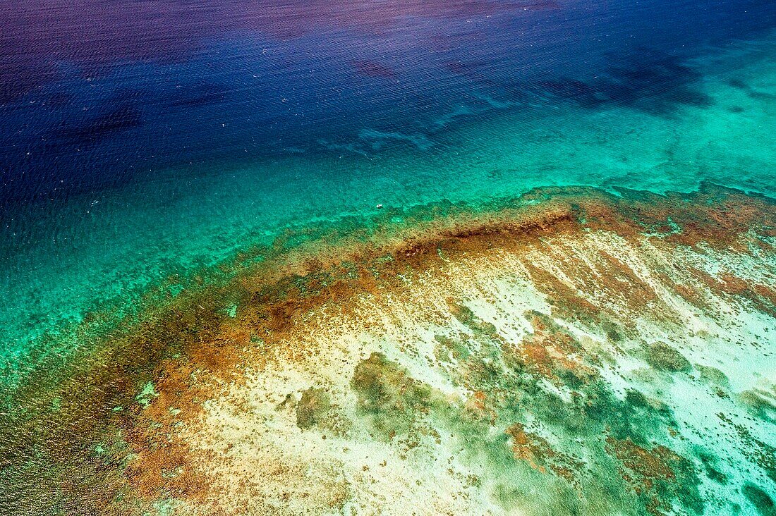 Frankreich, Karibik, Kleine Antillen, Guadeloupe, Grand Cul-de-Sac Marin, im Herzen des Nationalparks Guadeloupe, Basse-Terre, Luftaufnahme des Korallenriffs der Insel Fajou, dem längsten Korallenriff (25 km) der Kleinen Antillen, Biosphärenreservat des Archipels von Guadeloupe