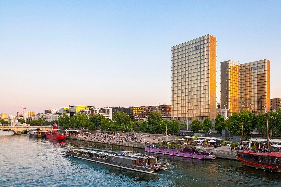 Frankreich, Paris, das Seine-Ufer und die französische Nationalbibliothek (BNF) Francois Mitterrand des Architekten Dominique Perrault