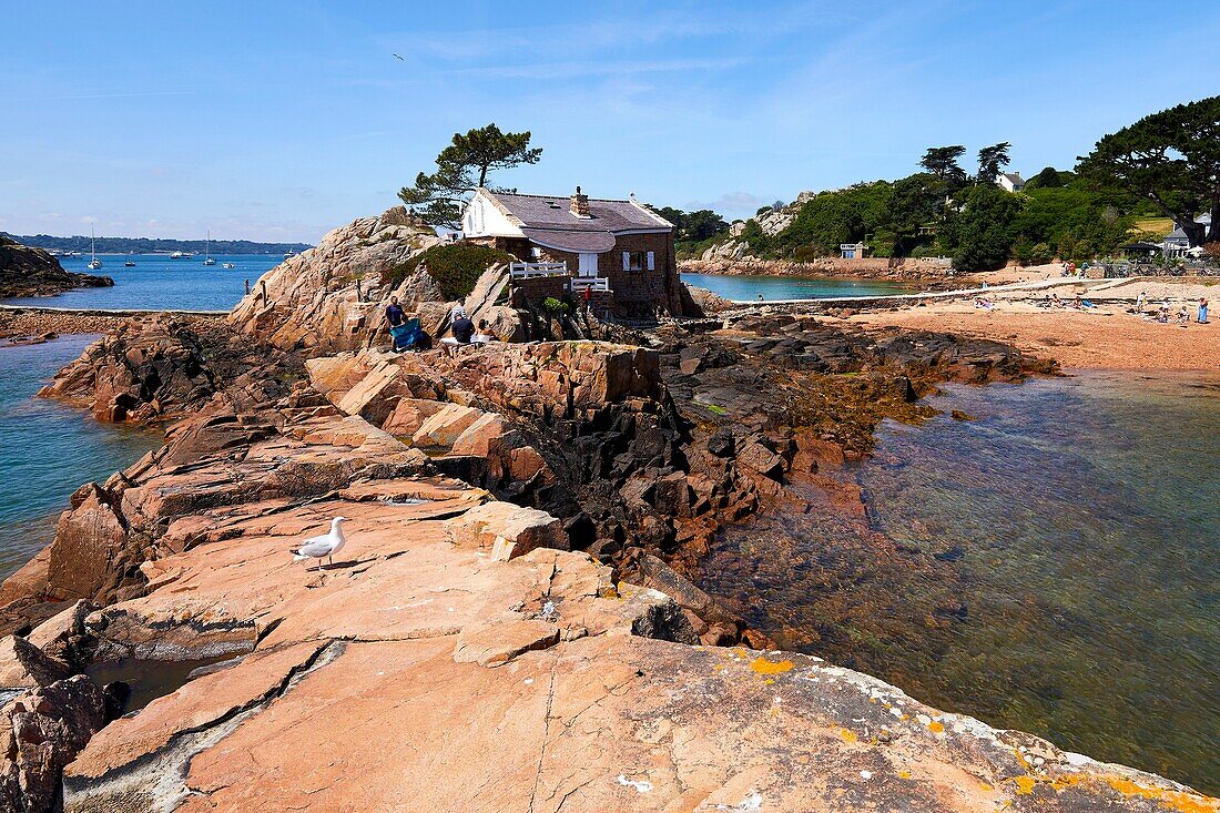 France, Cotes d'Armor, Ile de Brehat, house in the pink granite rocks at the Guerzido beach\n