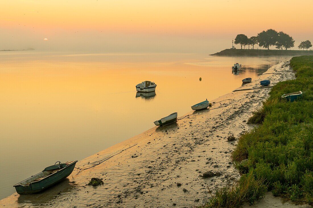 France, Somme, Somme Bay, Saint Valery sur Somme, Dawn on the banks of the Somme where are stranded the boats of fishermen and hunters\n