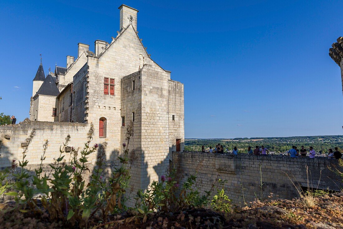 Frankreich, Indre et Loire, Loire-Tal, von der UNESCO zum Weltkulturerbe erklärt, Schloss Chinon, mittelalterlicher Stil, königliche Festung von Chinon, die königliche Residenz, vom Innenhof aus