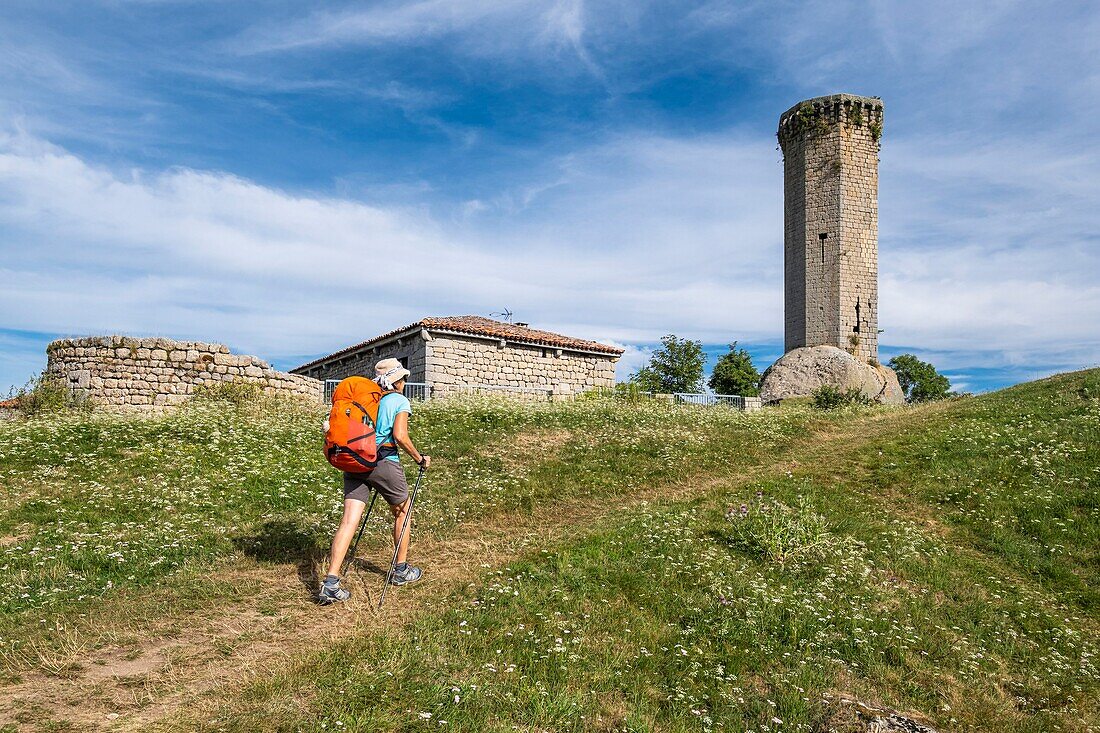 France, Haute-Loire, Grèzes, La Clauze hamlet, hike on Via Podiensis, one of the French pilgrim routes to Santiago de Compostela or GR 65, La Clauze Tower, octagonal dungeon of the 13th century\n