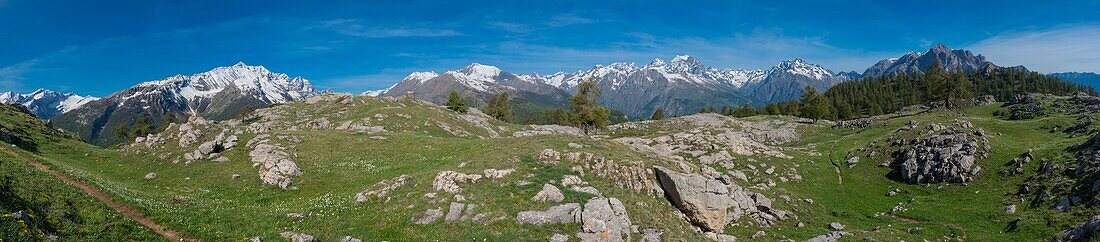 Frankreich, Hautes Alpes, Oisans-Massiv, Ecrins-Nationalpark, Vallouise, Wanderung zur Pointe des Tetes, Blick vom Sommintal auf die Gipfel des Oisans-Massivs von links nach rechts: Dormillouse-Spitze, Aigliere-Spitze in der Mitte, Pelvoux-Spitze, Arcas-Spitze und Amont-Spitze
