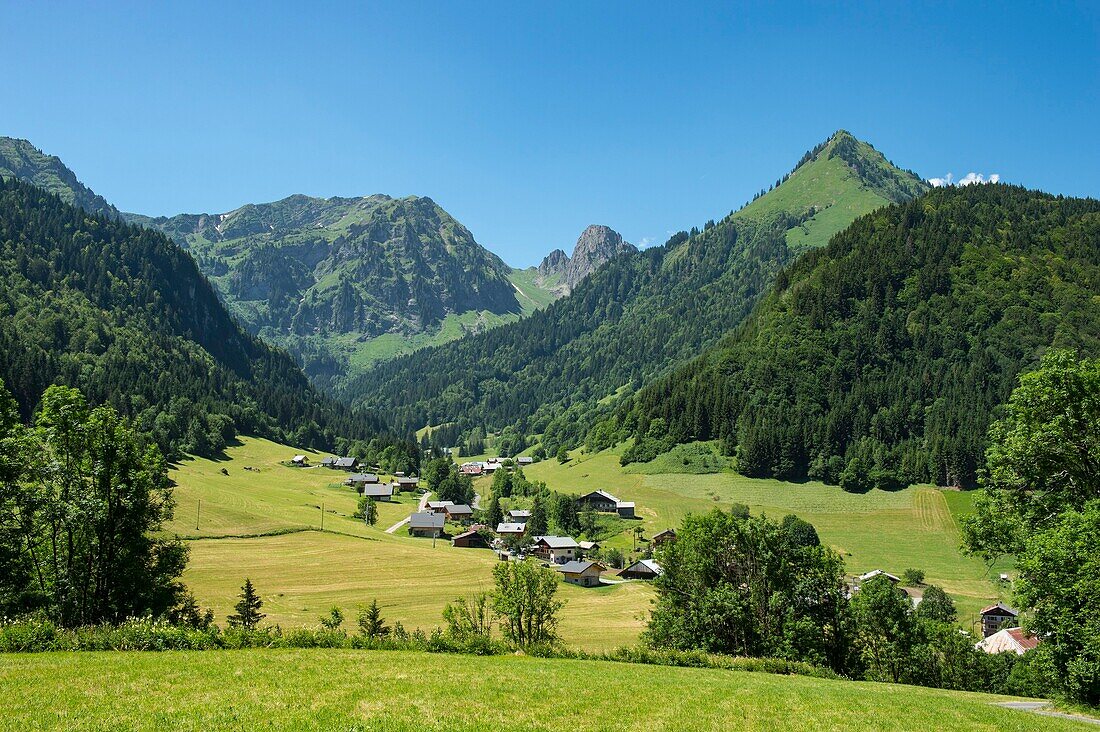 Frankreich, Haute Savoie, Chablais-Massiv, Abondance-Tal, Abondance, das Tal der Pretairie, die Gipfel des Vetu des Felsens von Enfer und der Gipfel des Corne