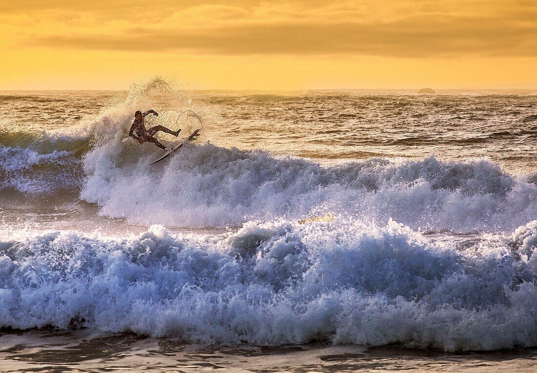 France, Morbihan, Saint Pierre Quiberon, surfer in Penthievre at sunset\n