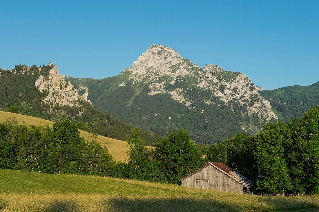 France, Haute Savoie, massif of Chablais, Bernex, view of Mount Cesar and the dent d' Oche from Mount Benand and alp barn\n