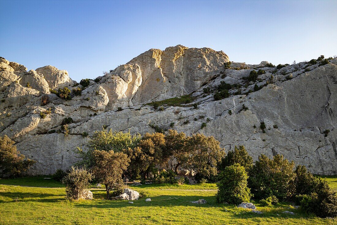 Frankreich, Bouche du Rhone, Aureille, Alpilles-Gebirge, Caisses de Jean Jean