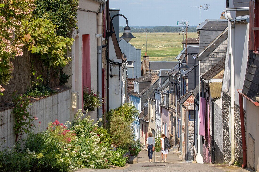 France, Somme, Baie de Somme, Saint-Valery-sur-Somme, quarter of sailors and fishermen Courtgain, Street pilots\n