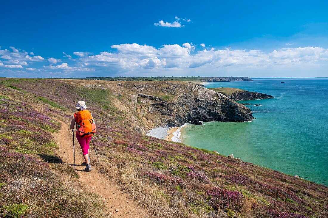 Frankreich, Finistere, Regionaler Naturpark Armorica, Halbinsel Crozon, Crozon, Wanderweg GR 34 oder Zollweg zwischen Pointe de Dinan und Cap de la Chèvre