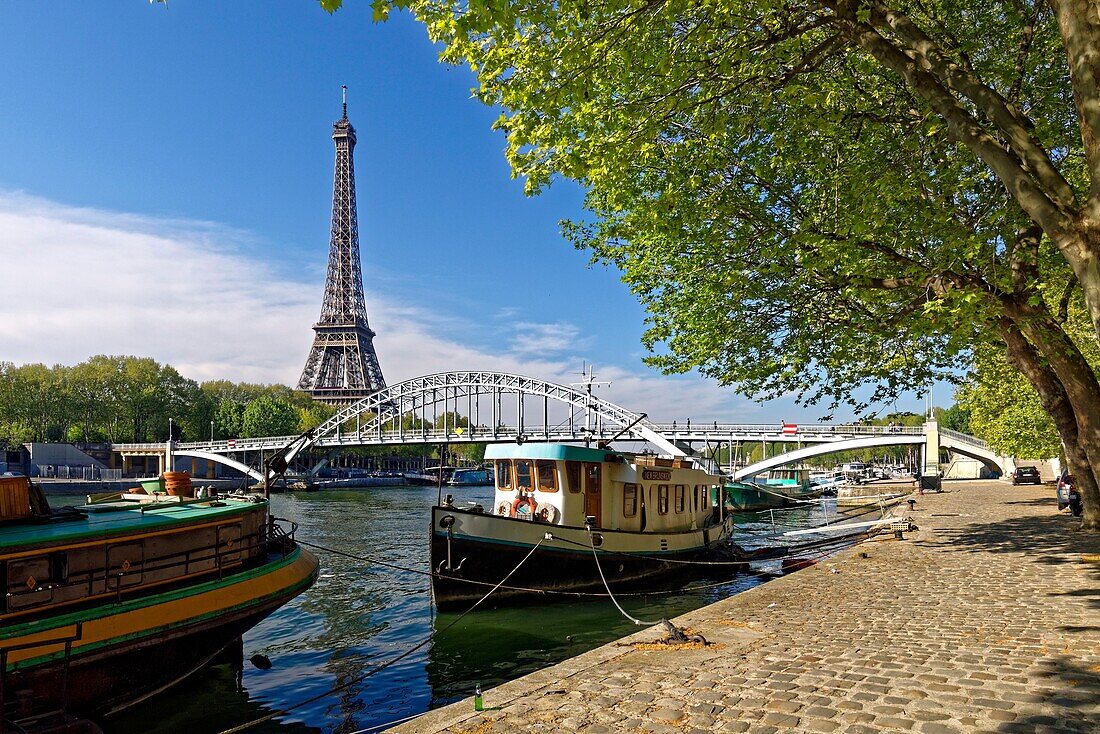France, Paris, area listed as World Heritage by UNESCO, the banks of the Seine river, Debilly footbridge and the Eiffel Tower\n