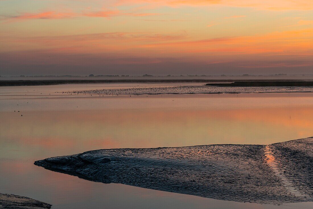 Frankreich, Somme, Somme-Bucht, Saint Valery sur Somme, Morgendämmerung am Ufer der Somme