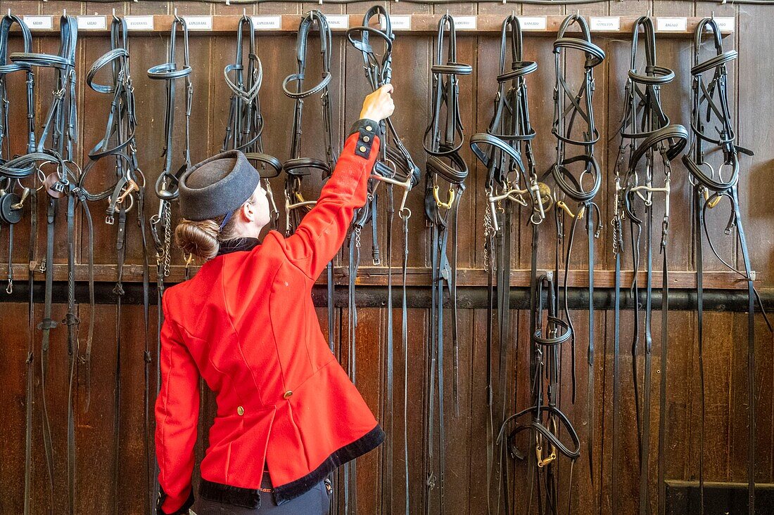 France, Oise, Chantilly, Chateau de Chantilly, the Grandes Ecuries (Great Stables), Estelle, rider of the Grandes Ecuries, prepare his horse and chose a bit\n