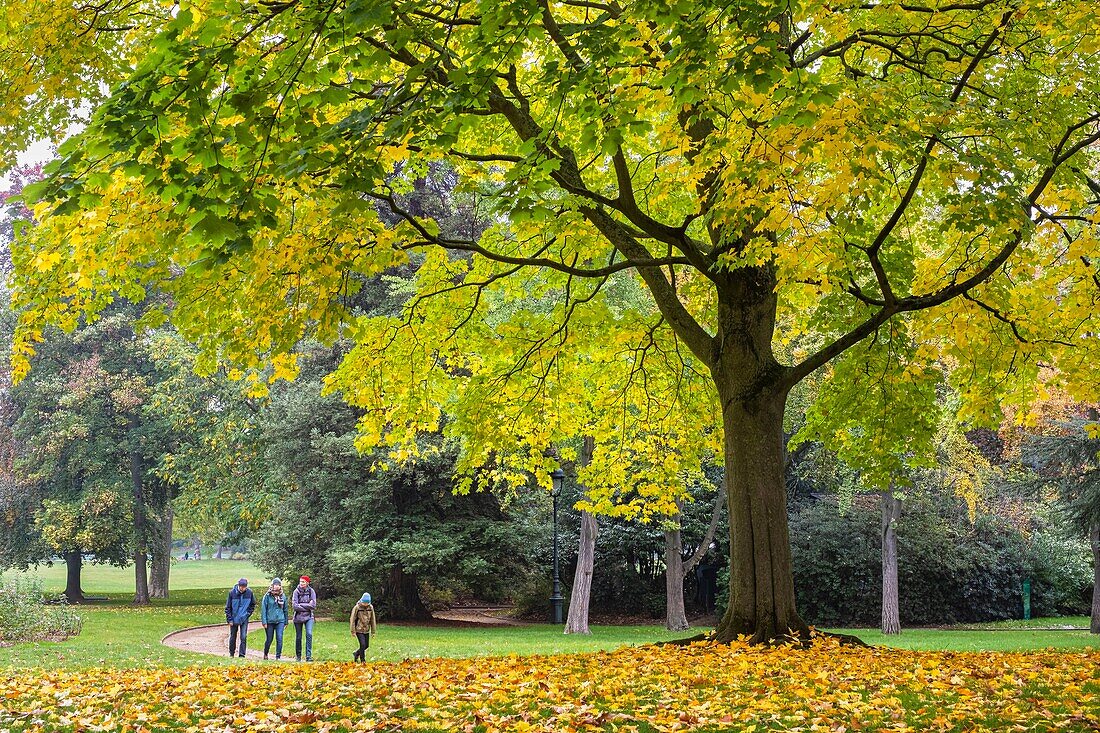 France, Paris, Parc-de-Montsouris district, Montsouris Park in the fall\n