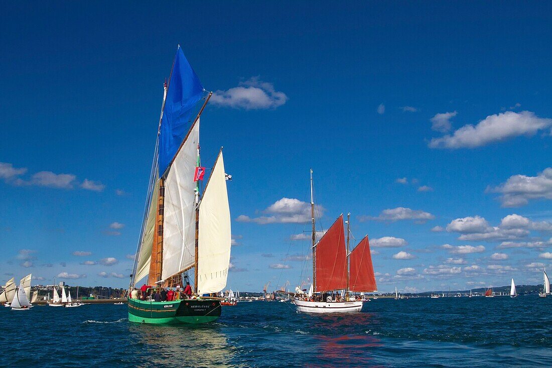 France, Finistère, Brest, NÉBULEUSE France Brest International Maritime Festival 2016\n