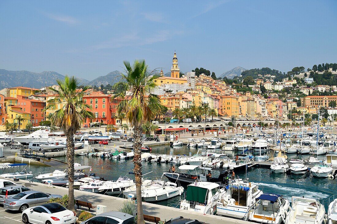 Frankreich, Alpes Maritimes, Côte d'Azur, Menton, der Hafen und die von der Basilika Saint Michel Archange beherrschte Altstadt