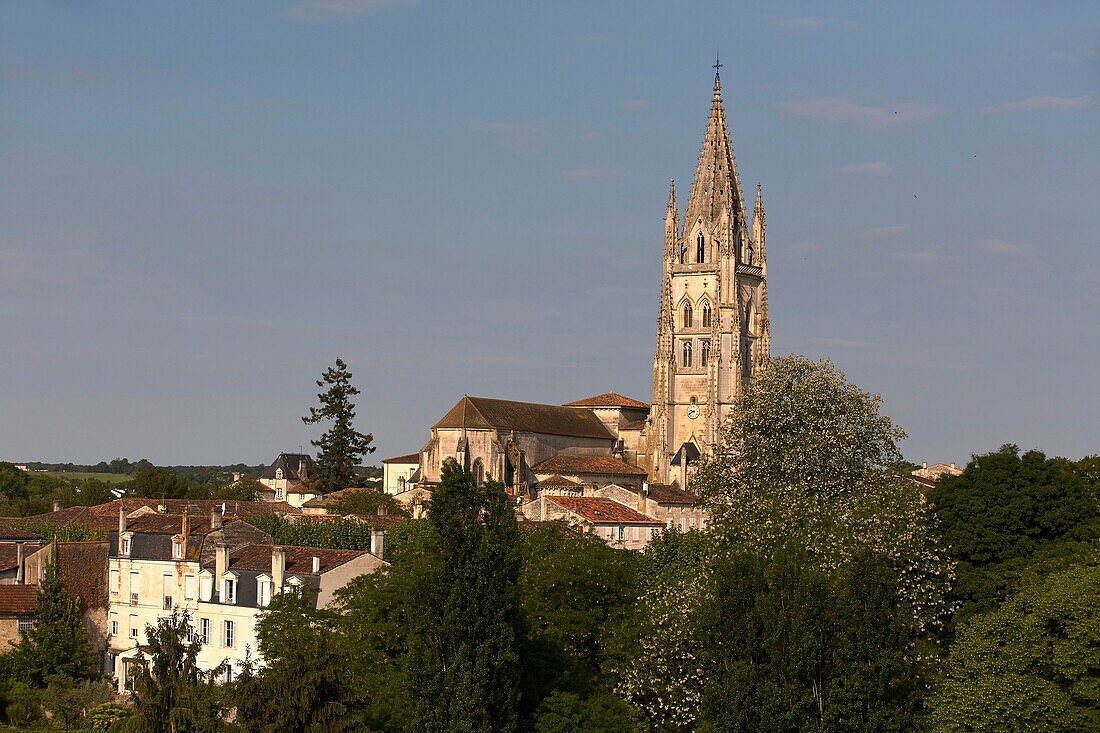 Frankreich, Charente Maritime, Saintonge, Saintes, die von der UNESCO in die Liste des Weltkulturerbes aufgenommene Basilika St. Eutrope an den Straßen von St. Jacques de Compostelle