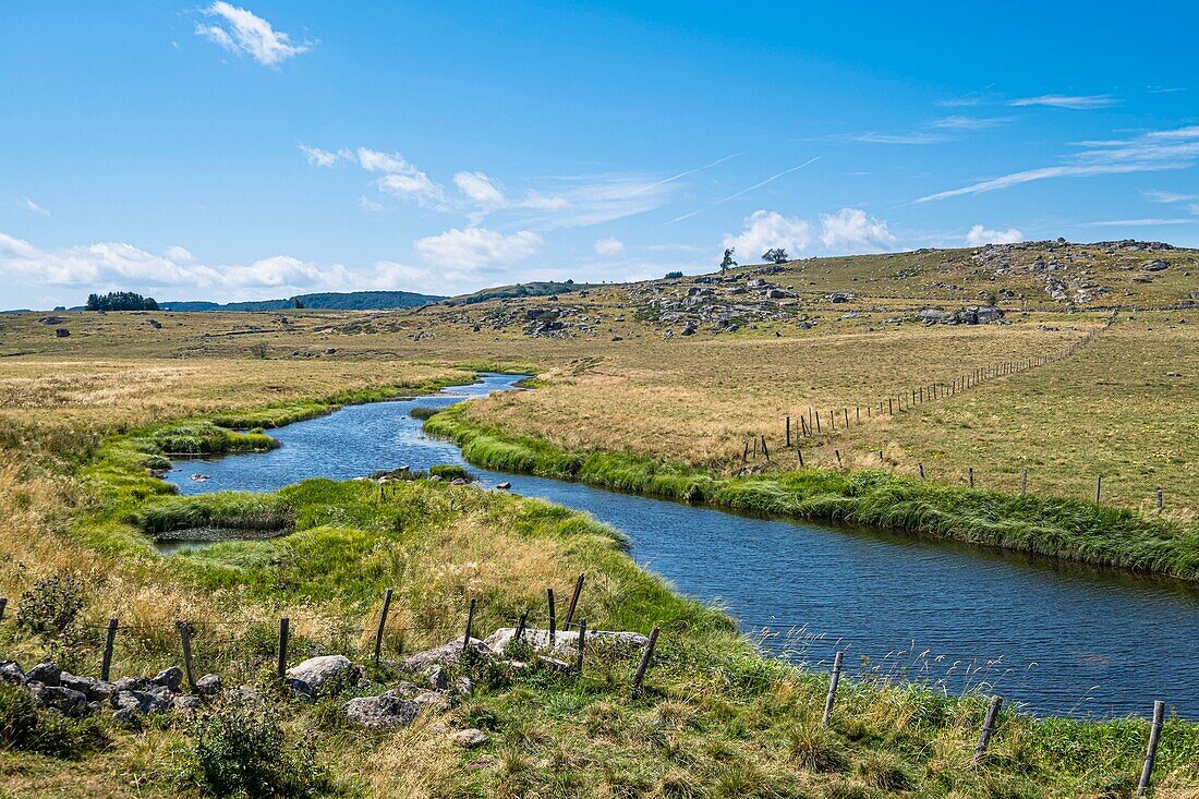 France, Lozere, Aubrac Regional Nature Reserve, surroundings of Marchastel along the Via Podiensis, one of the French pilgrim routes to Santiago de Compostela or GR 65, Le Bes river\n