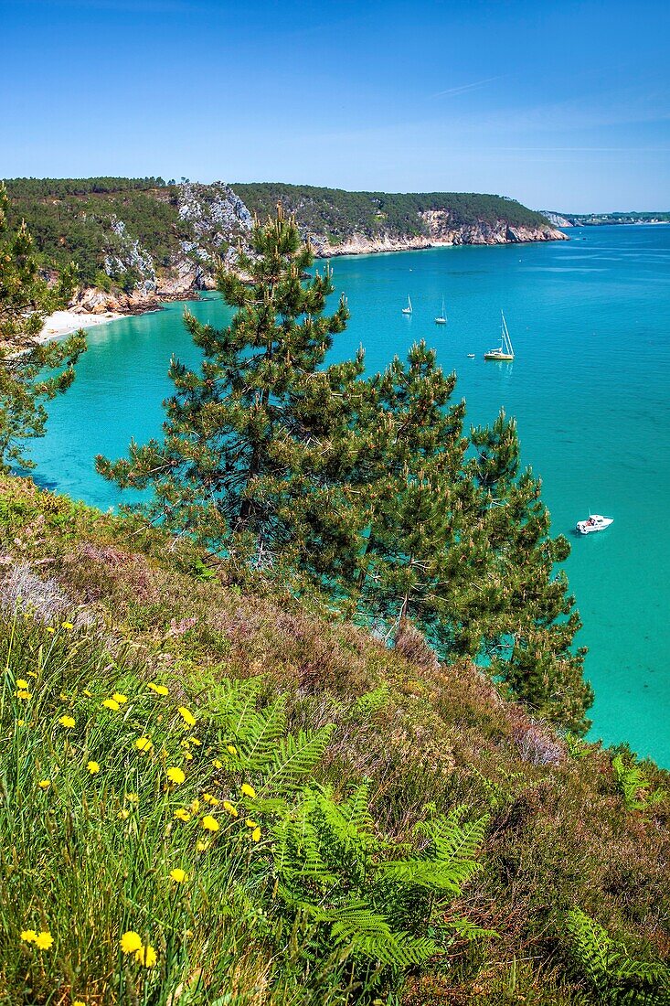 Frankreich, Finistere, Presqu'i?le de Crozon, La Grande Roche und die Pointe de Morgat von der Bucht der Jungferninsel in Saint Hernot