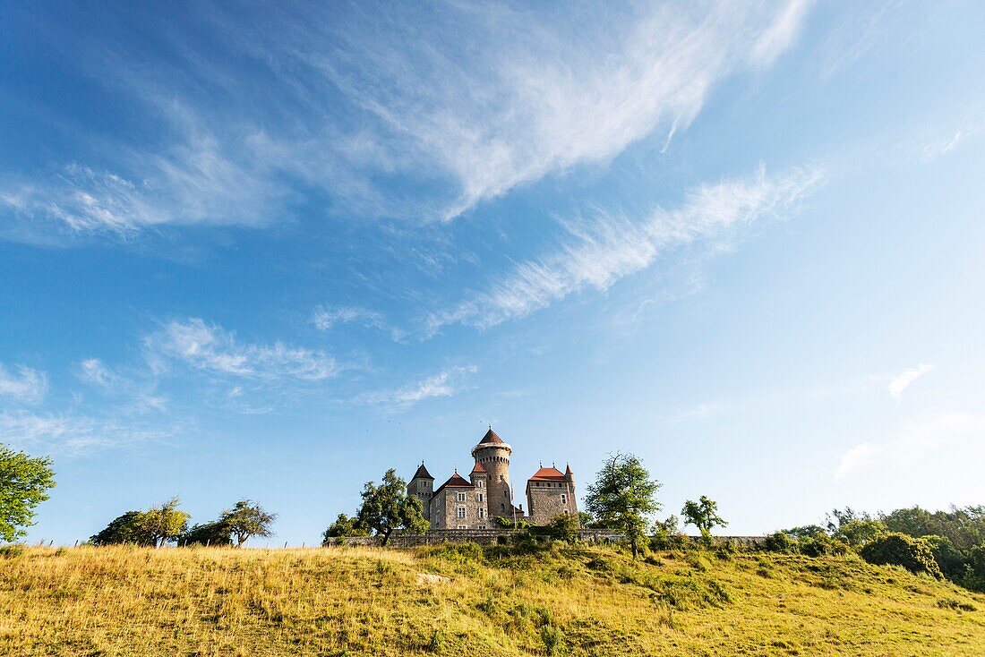 France, Haute Savoie, Lovagny, Montrottier castel (13th-15th century), Florimontane academy\n