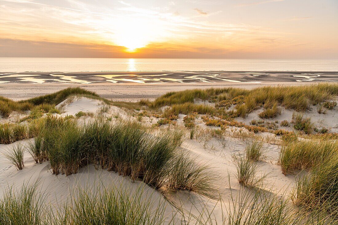 Frankreich, Somme, Fort-Mahon, Die Dünen zwischen Fort-Mahon und der Bucht von Authie bei Sonnenuntergang