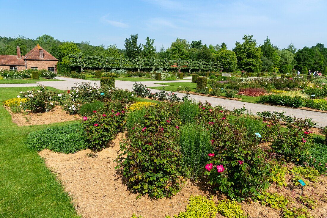 Frankreich, Somme, Tal der Authie, Argoules, die Gärten von Valloires sind botanische und landschaftliche Gärten auf dem Gelände der alten Zisterzienserabtei von Valloires auf einer Fläche von 8 Hektar und beschriftet bemerkenswerten Garten