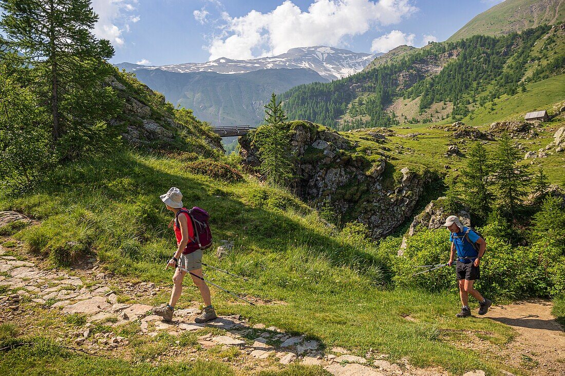 France, Hautes Alpes, Ecrins National Park, Champsaur, Drac Noir valley, Prapic, hike from Prapic to Saut du Laire\n