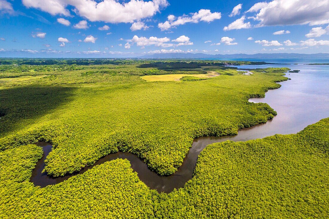 France, Caribbean, Lesser Antilles, Guadeloupe, Grand Cul-de-Sac marin, heart of Guadeloupe national park, Grande-Terre, Morne-à-l'Eau, Canal cove, aerial view on the wider mangrove belt of the Lesser Antilles, Guadeloupe Biosphere Reserve, here the Canal des Rotours, dug for nearly 6 km at the beginning of the 19th century (1826-1830) by hand of men, slaves, to allow drainage of the plain\n