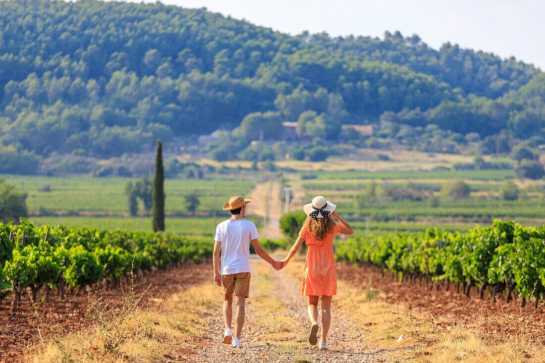 Frankreich, Var, La Motte, Spaziergang eines jungen Paares in einem Weinbergsfeld mit Provence-Weinen