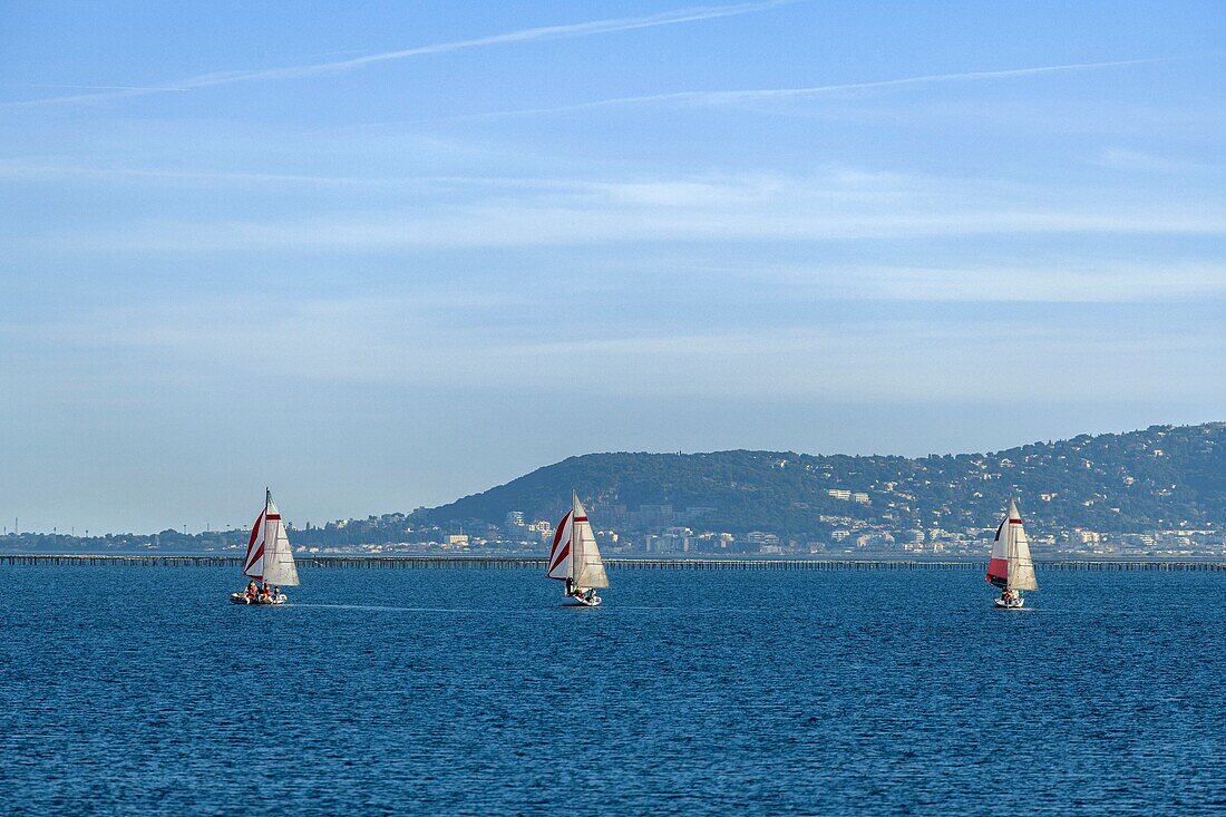 France, Herault, Marseillan, sailboats with the Mont Saint Clair in the background\n