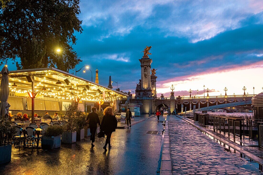 Frankreich, Paris, von der UNESCO zum Weltkulturerbe erklärtes Gebiet, die Neuen Ufer und die Brücke Alexandre III.