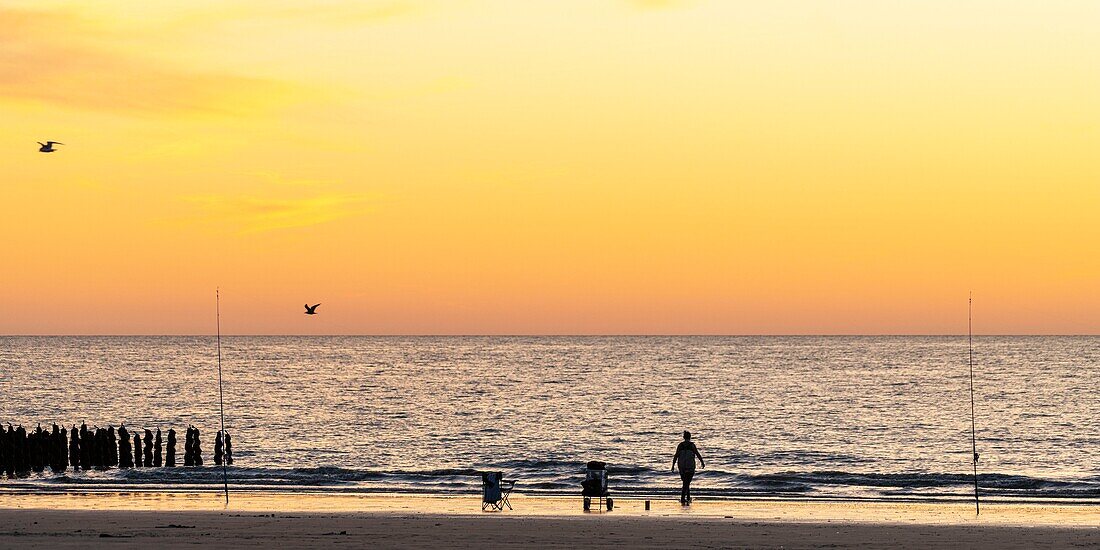 France, Somme, Marquenterre, Quend-Plage, Fishermen on the beach at sunset\n