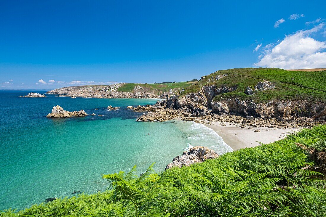 France, Finistere, Beuzec-Cap-Sizun, Lesven Pointe and beach along the GR 34 hiking trail or customs trail\n