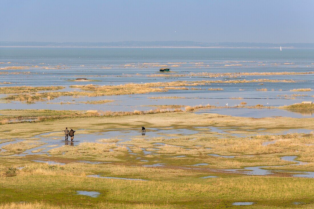 Frankreich, Somme, Somme-Bucht, Saint Valery sur Somme, Kap Hornu, Große Gezeiten in der Somme-Bucht Die gesalzenen Wiesen von Kap Hornu, die allmählich vom Meer eingenommen werden Mit den Gezeiten zurücktreibende Jagdhütten Anwesenheit von Jägern